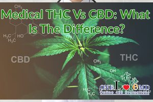 Medical THC vs CBD: What Is The Difference?