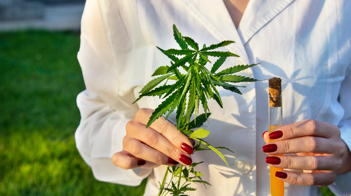Explore Some of the Top Cannabis Products for Women